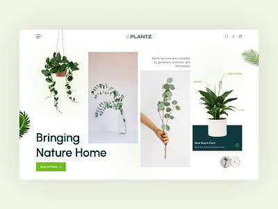 Free Animated Website Banner for Plant Shops animation design figma flower website plant plant website ui ux website website design