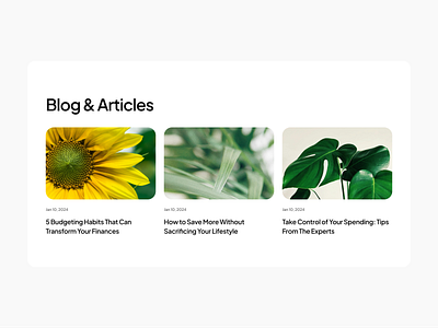 Minimal Blog & Article Section for Website article blog landingpage ui design uxdesign web design website
