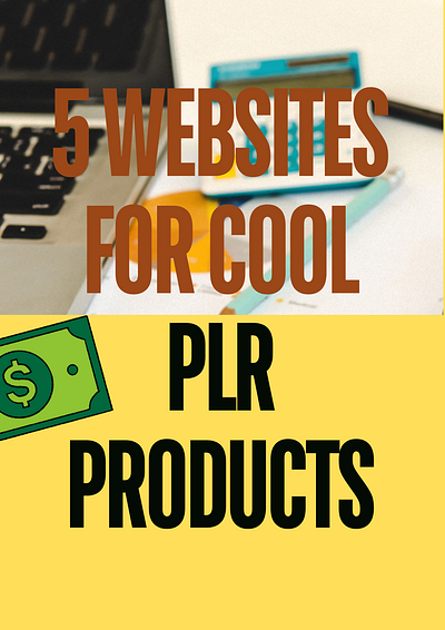 5 Cool PLR products! design digital product product profit