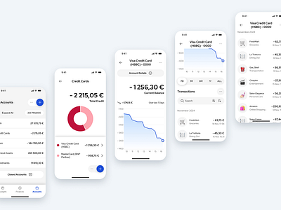 Accounts Overview accounts app budget chart curve data design digital finance graph pie ui ui design uiux ux