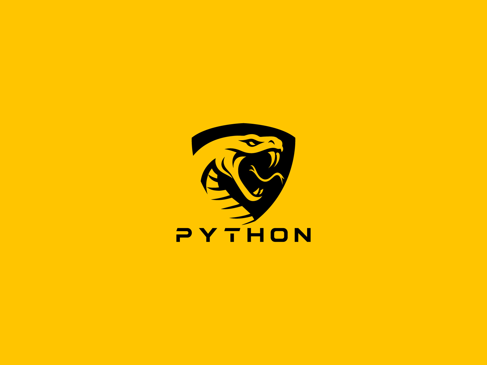 Python Logo by Ben Naveed 🇺🇸 on Dribbble