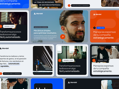 Mendel: Branding and UI branding dashboard logo product design social media startup ui