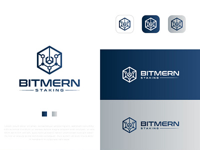 BITMERN STAKING LOGO DESIGN artwork brandidentity branding brandingdesign business corporate logo creative graphic design logo logodesigner logoinspirations logomark photoshop staking logo