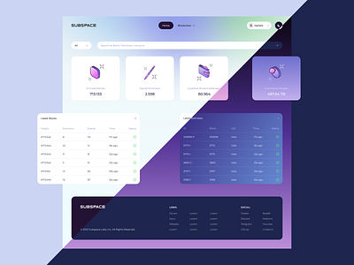Subspace Network - Block Explorer analytics app design block explorer blockchain crypto cryptocurrency ui ui design ux ux design web 3.0 web app
