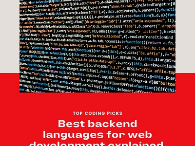 The 8 Best Backend Coding Languages for Web Development in 2024 blockchain custom software development illustration mobile app development shopify development uiux design