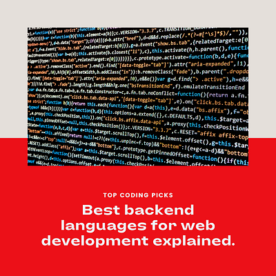 The 8 Best Backend Coding Languages for Web Development in 2024 blockchain custom software development illustration mobile app development shopify development uiux design