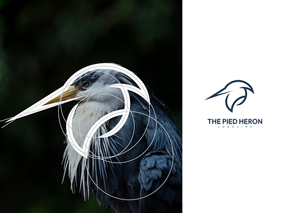 The Pied heron Logo Line branding design graphic design icon illustration logo logo design logotype ui vector