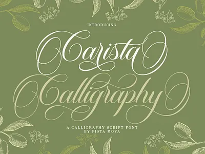 Carista Calligraphy 3d banner branding branding fonts calligraphy chocolate fonts design illustration logo ui