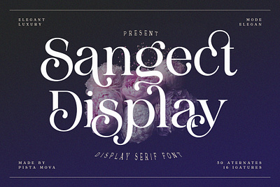Sangect Display 3d animation banner branding branding fonts calligraphy chocolate fonts design illustration logo ui