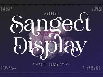 Sangect Display 3d animation banner branding branding fonts calligraphy chocolate fonts design illustration logo ui