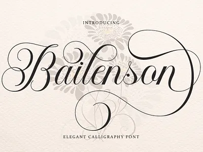 Bailenson 3d banner branding branding fonts calligraphy chocolate fonts design illustration logo ui