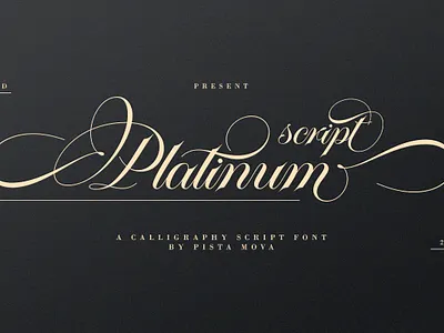 Platinum script 3d banner branding branding fonts calligraphy chocolate fonts design illustration logo ui