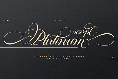 Platinum script 3d banner branding branding fonts calligraphy chocolate fonts design illustration logo ui