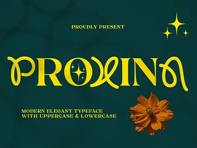 Proxina 3d banner branding branding fonts calligraphy chocolate fonts design illustration logo ui