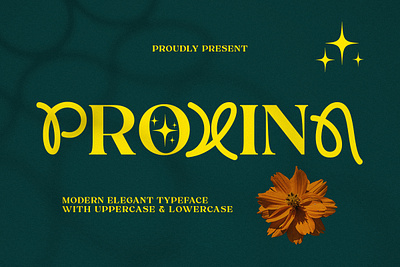 Proxina 3d banner branding branding fonts calligraphy chocolate fonts design illustration logo ui