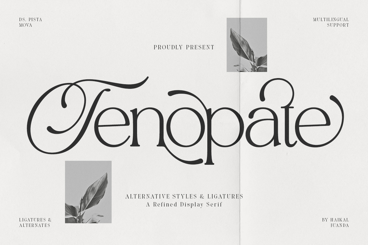 Tenopate 3d animation banner branding branding fonts calligraphy chocolate fonts design graphic design illustration logo motion graphics ui