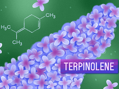 Terpinolene chemical design flower graphic design illustration lilac plant procreate purple syringa violet