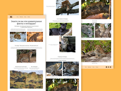 Longrid about leopards. leopards longrid ui design леопарды лонгрид