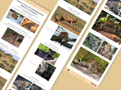 Longrid about leopards. leopards longrid. ui design леопарды логрид