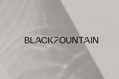 Black Fountain, Venture Capital Firm - Logo branding corporate logo logo venture capital fund workmark