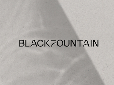 Black Fountain, Venture Capital Firm - Logo branding corporate logo logo venture capital fund workmark