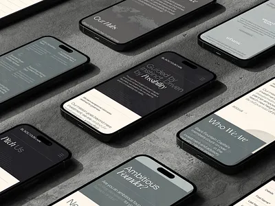 Black Fountain, Venture Capital Firm - Website branding ui website website design