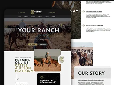 Callaway Livestock Cattle Web Design ag web design ag website agriculture cattle web design cattle website design web design website website design