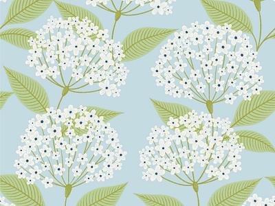 Alyssum Flowers Pattern Design alyssum fabric floral flowers garden illustration line work pattern wallpaper