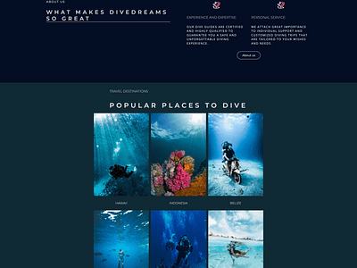 Dive Portfolio Website https://diving-club.webflow.io/ branding design designer divewebsite divingwebsite graphic design illustration landingpage logo portfolio ui webdesign webdesigner webflow webflowdesigner webflowwebsite website