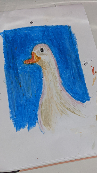 A duck illustration art illustration