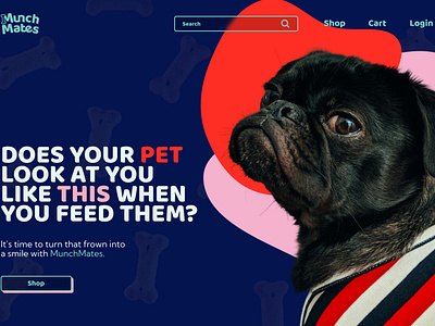 Pet Food Web and Product Design blue branding bright colors dog e commerce graphic design logo pets pink red ui uiux web design