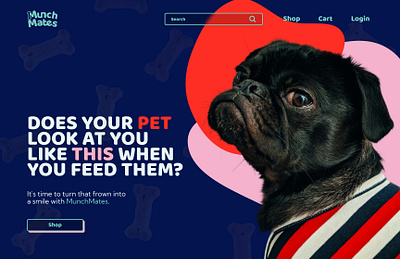 Pet Food Web and Product Design blue branding bright colors dog e commerce graphic design logo pets pink red ui uiux web design