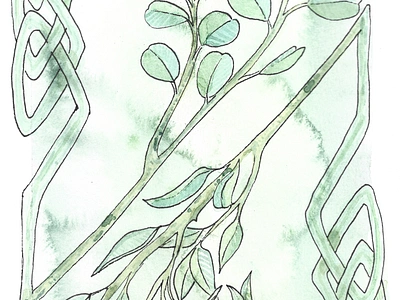 Eucalyptus Study - Watercolour and Fineliner abstract background botanical branding cottagecore design illustration illustrative watercolor watercolour whimsical