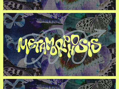 Metamorphosis - Message Series branding church graphics design graphic design illustration logo message series typography vector
