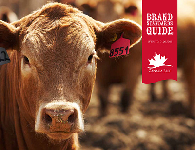 Canada Beef brand guide and media kit agriculture beef canada copywriting corporate communications food graphic design layout print production