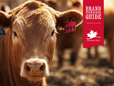 Canada Beef brand guide and media kit agriculture beef canada copywriting corporate communications food graphic design layout print production