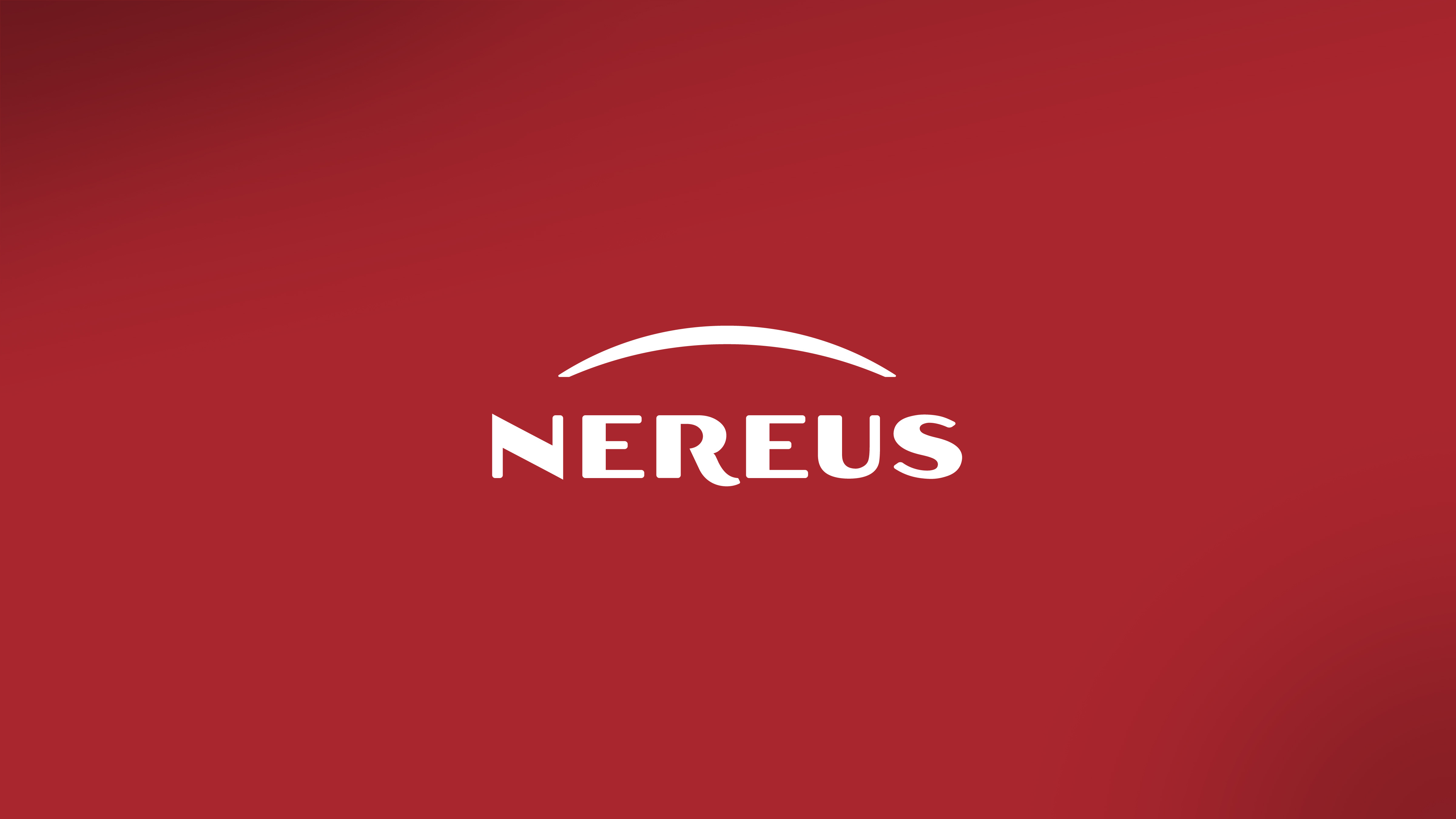 Nereus brand design brand guidelines branding corporate identity graphic design identity logo visual design