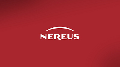 Nereus brand design brand guidelines branding corporate identity graphic design identity logo visual design