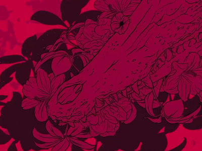 skulls&flowers 1 2d ae animation artcor andrey kalinin graphic design motion graphics ps