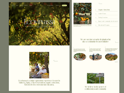 Ecovinyassa – The orchard “Sa Vinyassa” in Mallorca aesthetic art branding daily design ecovinyassa feedback figma illustration inspiration logo mallorca nature photography spain typography ui webdesign