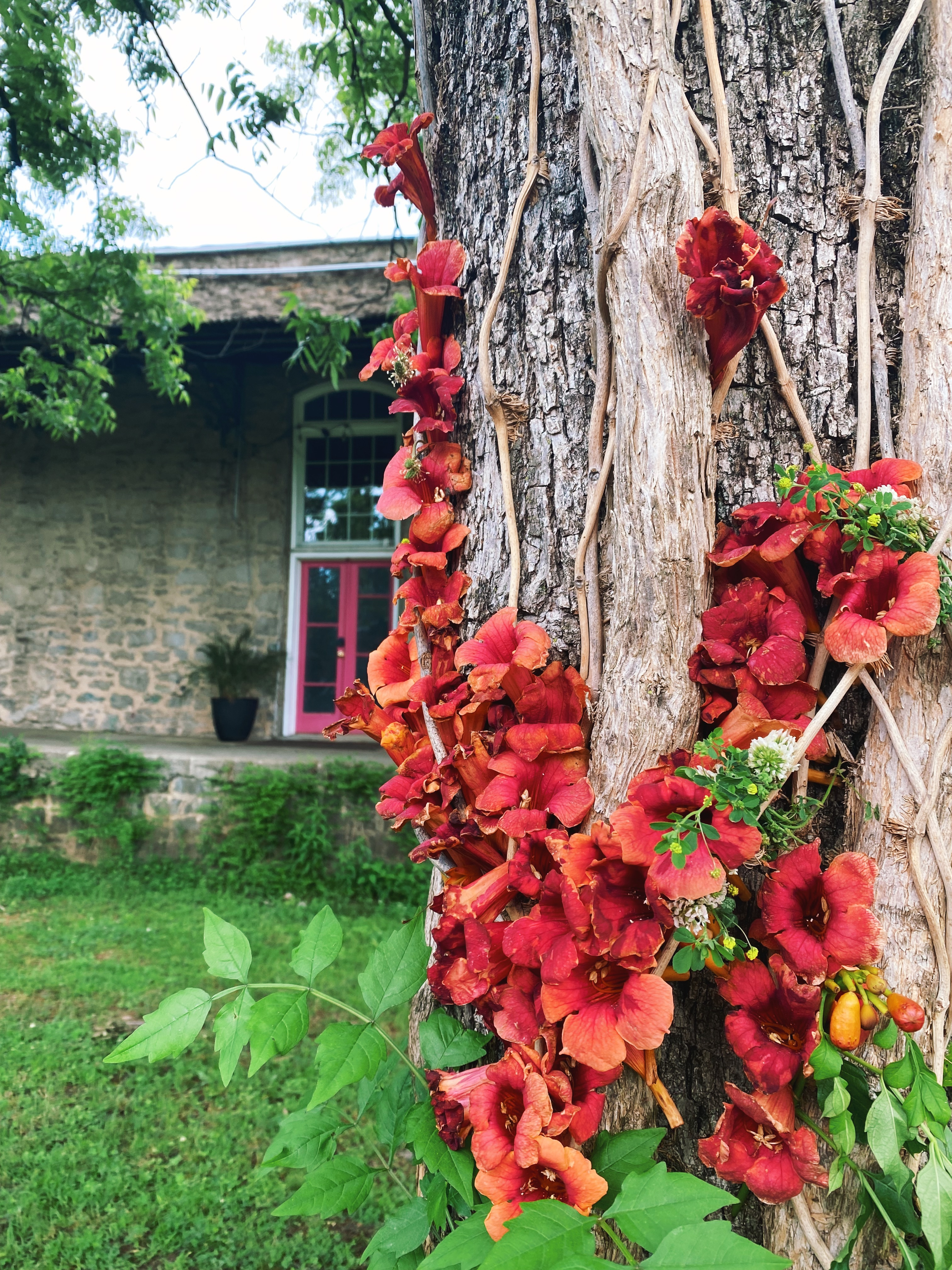 Flowers and trees and stuff. It's cool. art flower arrangements flowers inspiration leaves mixed material art natural nature nature art outdoors plants stumps trees weird art wildflower