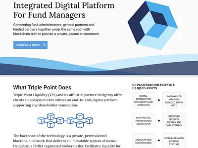 Triple Point Liquidity: Marketing Home Page design desktop homepage ui