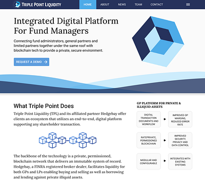 Triple Point Liquidity: Marketing Home Page design desktop homepage ui