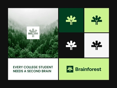 Brainforest - Logo & brand identity for the educational platform brand brand guidelines brand identity brand marketing branding education graphic design identity design lms logo logo book logo design logo mark marketing visual identity