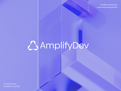 AmplifyDev branding design graphic design logo typography