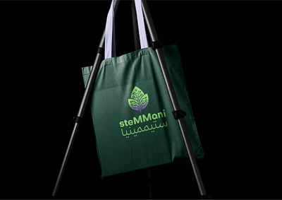 Bilingual Branding For Stemmania brand identity brand strategy branding logo presentation design