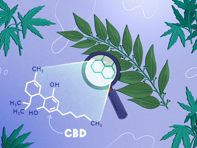 Trema micrantha cannabis cbd chemistry design drawing floral flower formula graphic design illustration plant procreate weed