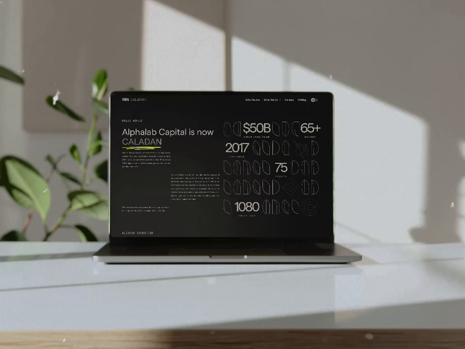 Example of Brand + Web + Build – Full Launch Pack