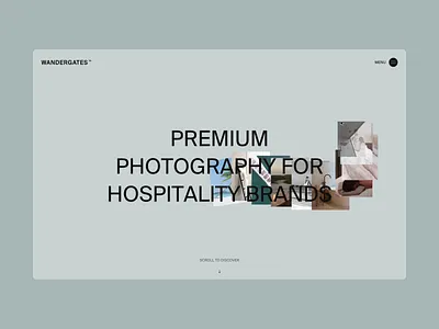 Wandergates — Awwwards animation art direction awwwards hero landing page motion graphics mousetrail photography portfolio ui web design website