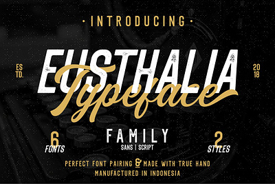 Eusthalia Typeface Family (6 Fonts) badges branding clean elegant hipster label logotype modern opentype quote sign stamped truetype typeface